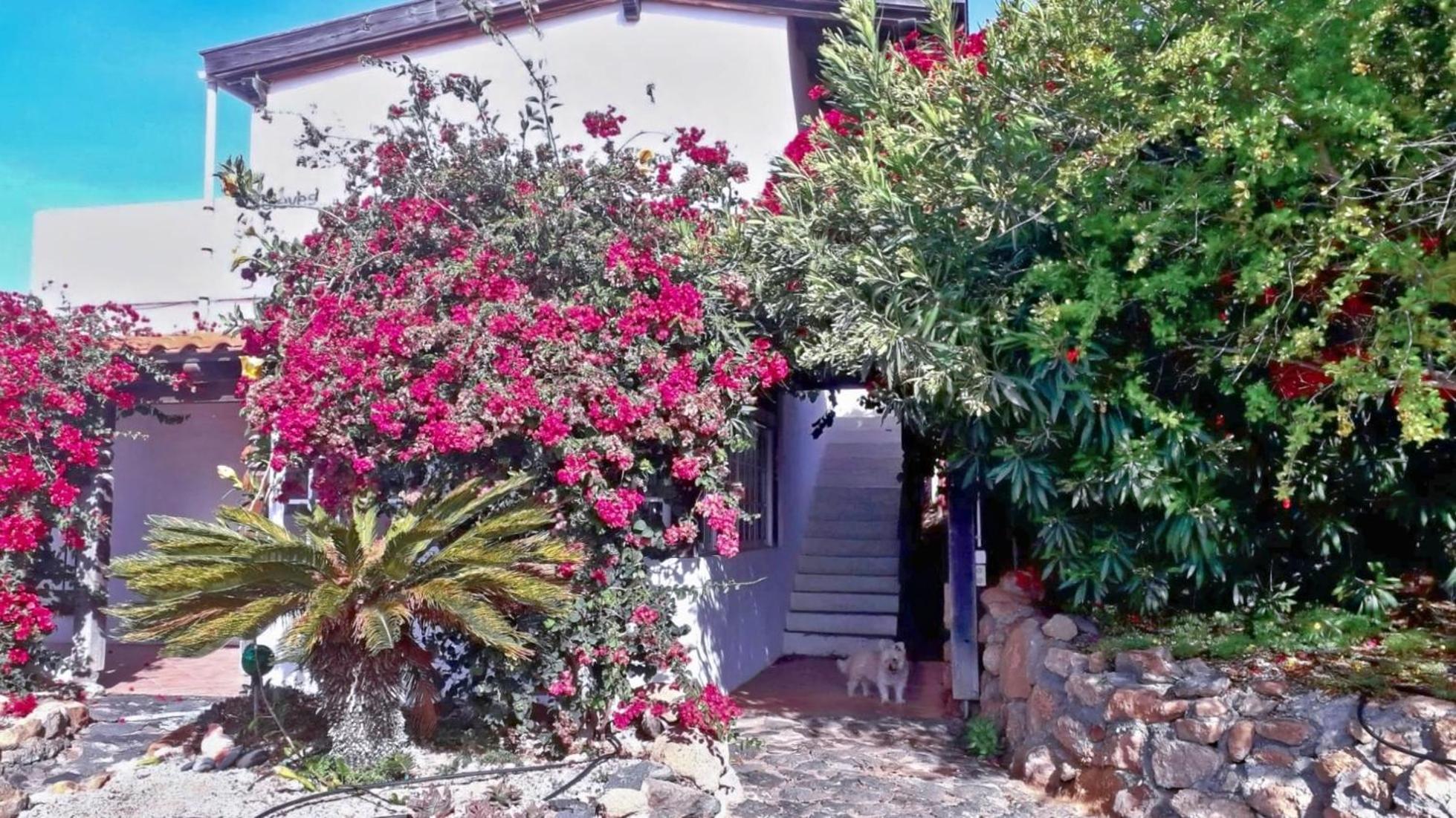 -Casa Azul-Arico Viejo La Sabinita - Baden, Wandern, Klettern, Individualurlaub Jenseits Des Massentourismus, Villa Luaran gambar