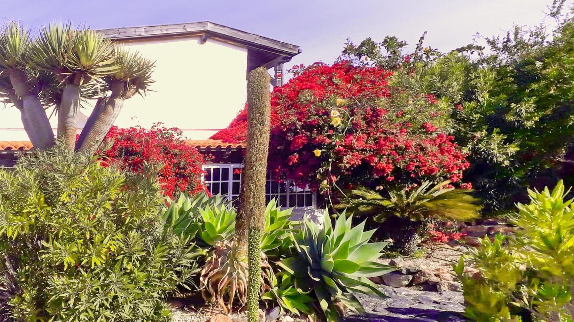 -Casa Azul-Arico Viejo La Sabinita - Baden, Wandern, Klettern, Individualurlaub Jenseits Des Massentourismus, Villa Luaran gambar