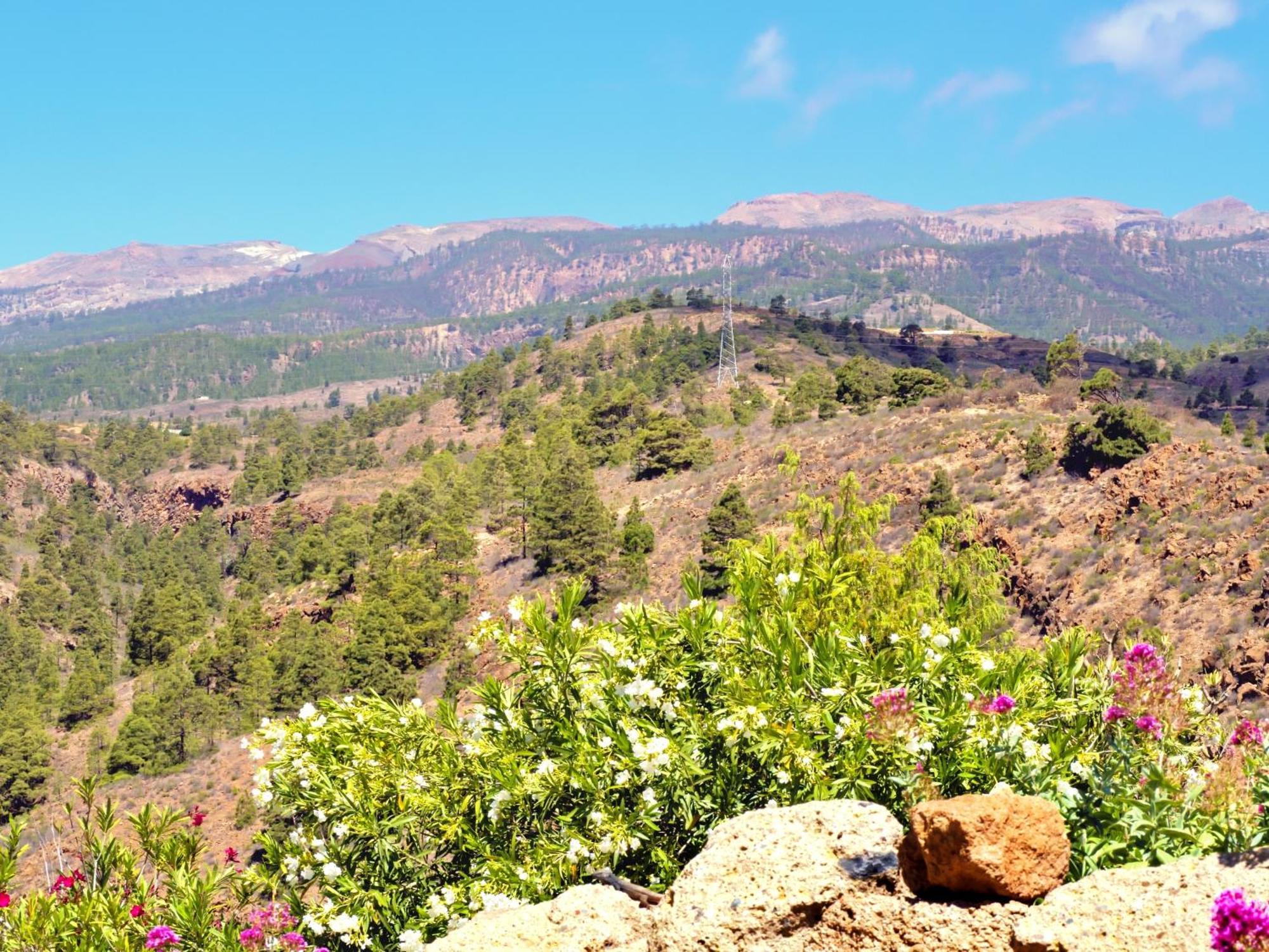 -Casa Azul-Arico Viejo La Sabinita - Baden, Wandern, Klettern, Individualurlaub Jenseits Des Massentourismus, Villa Luaran gambar