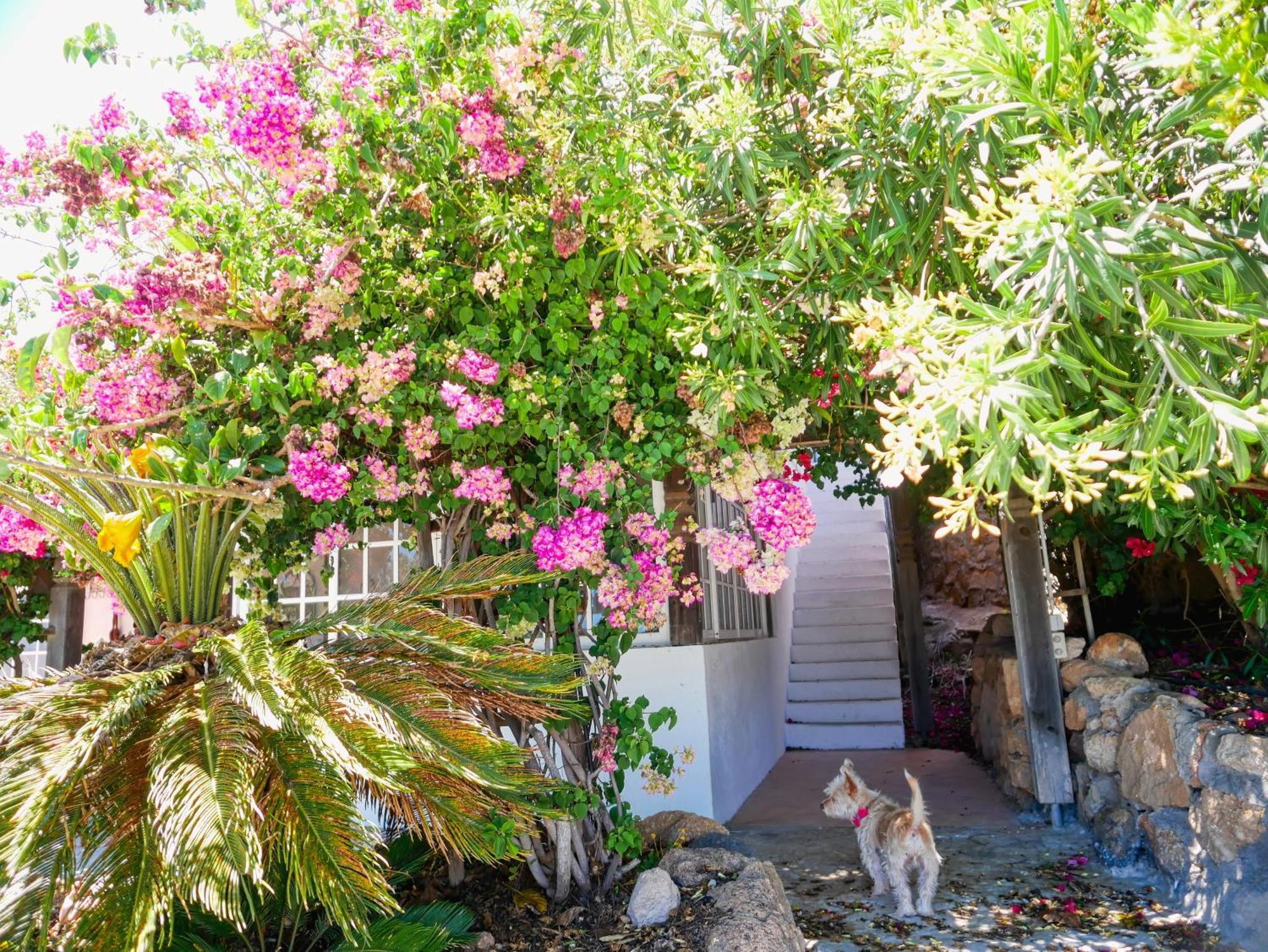 -Casa Azul-Arico Viejo La Sabinita - Baden, Wandern, Klettern, Individualurlaub Jenseits Des Massentourismus, Villa Luaran gambar